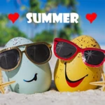 summer wallpapers android application logo